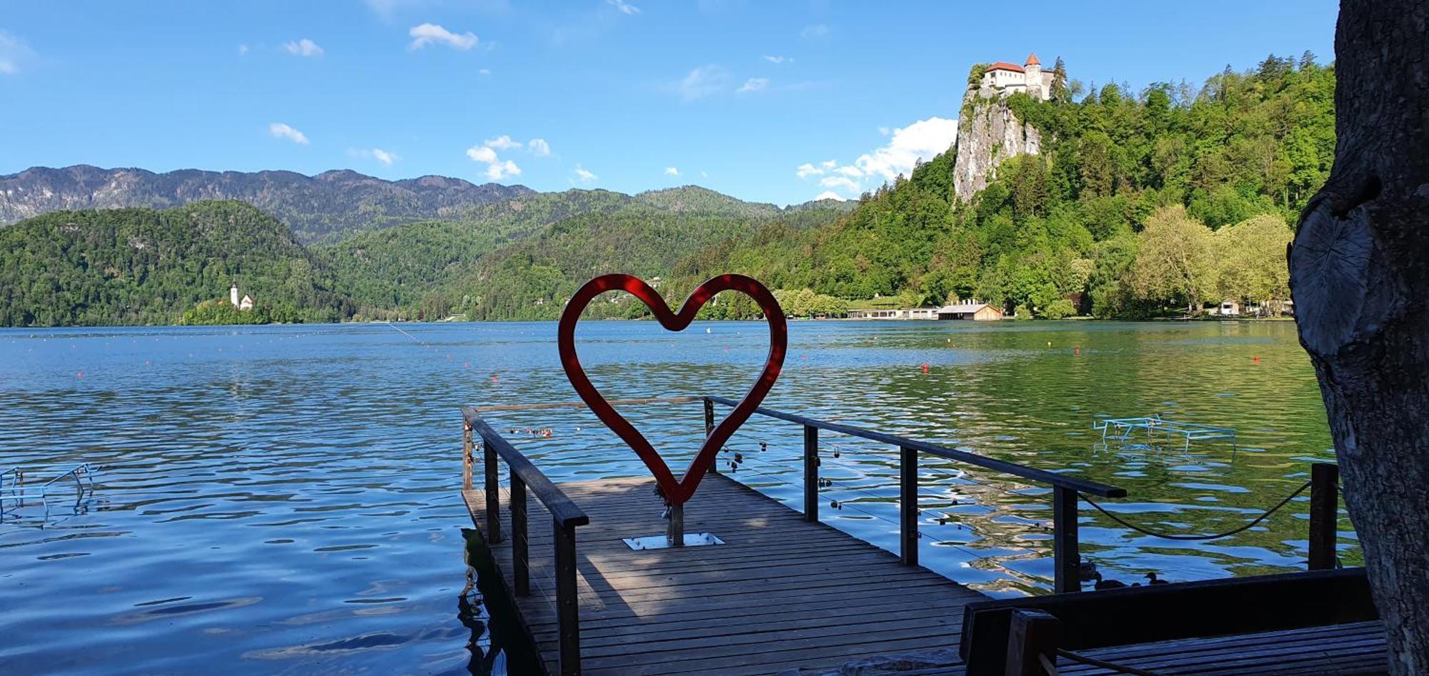 Apartma Jezerci Daire Bled Oda fotoğraf